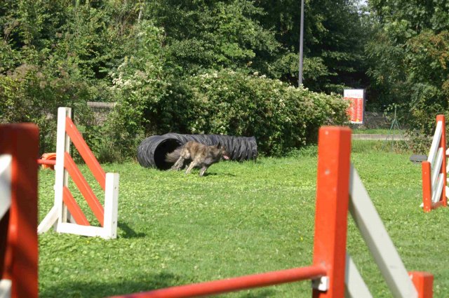 agility 2011-08